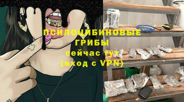 a pvp Богородицк